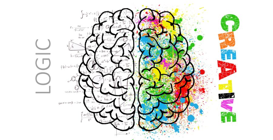 hjerne neuropsykolog