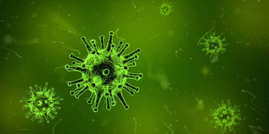 virus sygdom syg